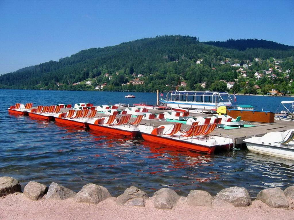 Les Chenes Rouges Apartment Gerardmer Luaran gambar