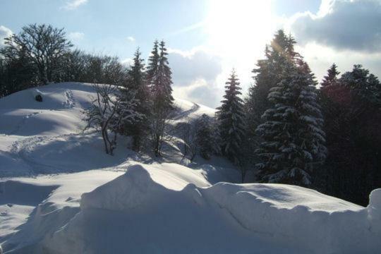 Les Chenes Rouges Apartment Gerardmer Luaran gambar