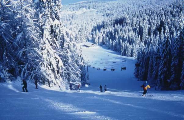 Les Chenes Rouges Apartment Gerardmer Luaran gambar